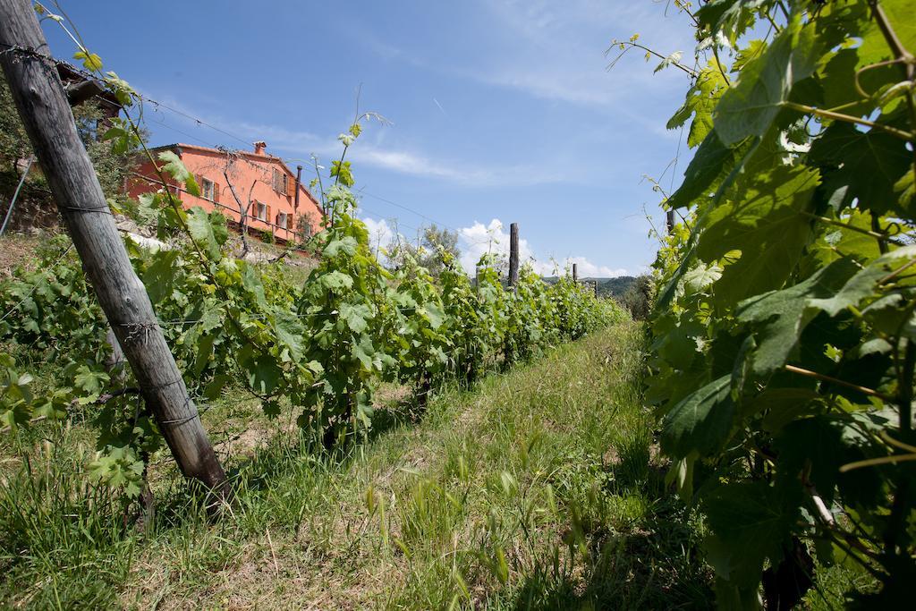 Agriturismo La Burlanda Fosdinovo Exteriör bild